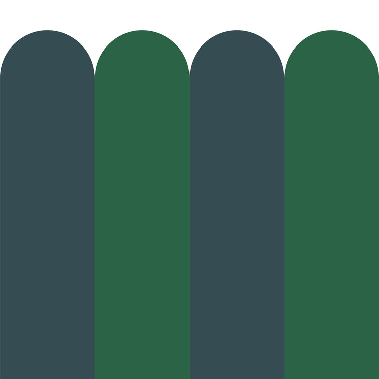 BARNABÉ vert et bleu