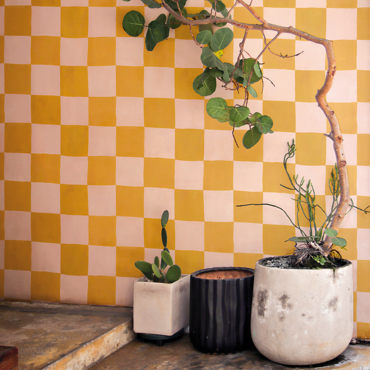 ÉMILIE jaune et rose