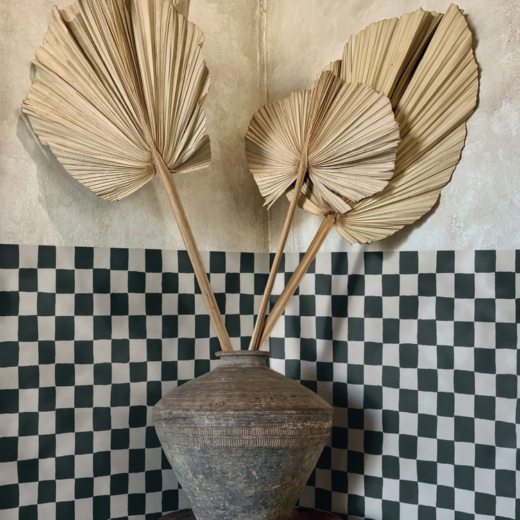 NOÉMIE noir et blanc