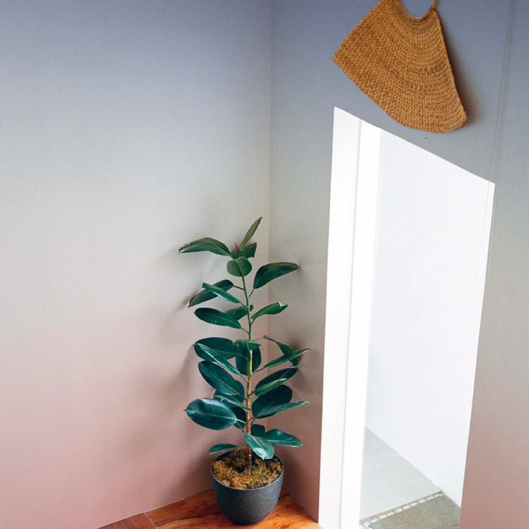 YVONNE rose et violet