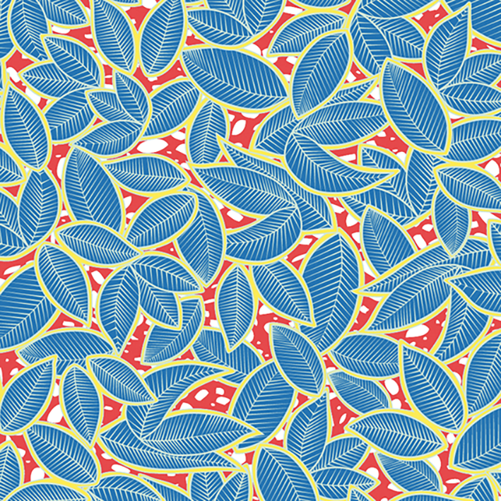 HASSANATOU bleu et rouge